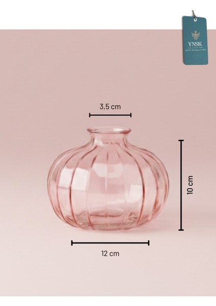 3'lü Minimalist Dekor Cam Vazo, Oda Kokusu Şişesi, Modern Dekor Vazo