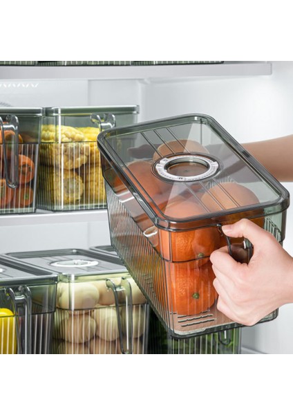 Buzdolabı Saklama Kutusu Zaman Tutma Taze Gıda Düzenleyici Kutu Saplı Şeffaf Malzeme Fotoğraf Rengi (Yurt Dışından) modelleri