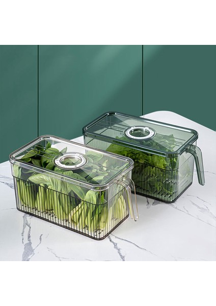 Buzdolabı Saklama Kutusu Zaman Tutma Taze Gıda Düzenleyici Kutu Saplı Şeffaf Malzeme Fotoğraf Rengi (Yurt Dışından) fırsatları