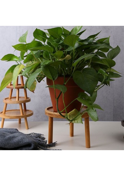 Çiçek Saksısı Tepsisi Masif Ahşap Çiçek Rafı Iç Mekan Masaüstü Oturma Odası Saksı Sukulent Pothos Ayaklı Vazo Tabanı (Yurt Dışından) fırsatları