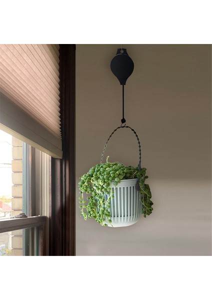 4 Parça Bitki Makaraları Bitki Kancası Makarası 4 Parça Tavan Kancaları ile Asma Bitkiler Için Geri Çekilebilir Bitki Askıları Dış Mekan (Yurt Dışından) indirimleri