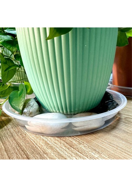 6'lı Paket Şeffaf Bitki Tabağı 12 Inç Plastik Bitki Tabağı Dayanıklı Kalın Bitki Tepsisi Saksı Iç Mekan Dış Mekan Bahçe Için (Yurt Dışından) modelleri