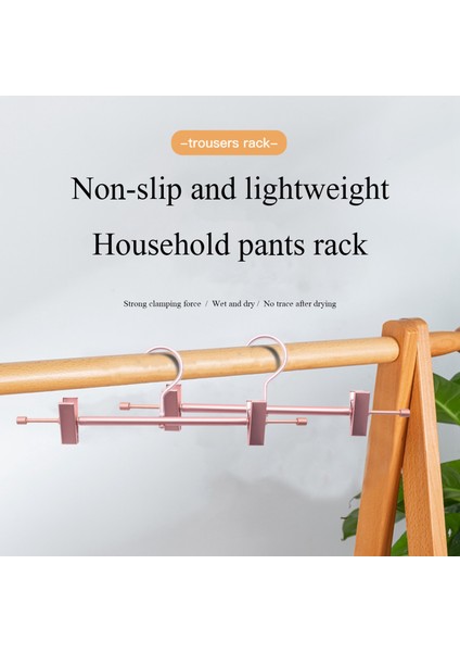 10 Adet Yüksek Dayanıklı Gül Altın Pantolon Etek Alt Askısı ve Klips (Yurt Dışından) fiyatları