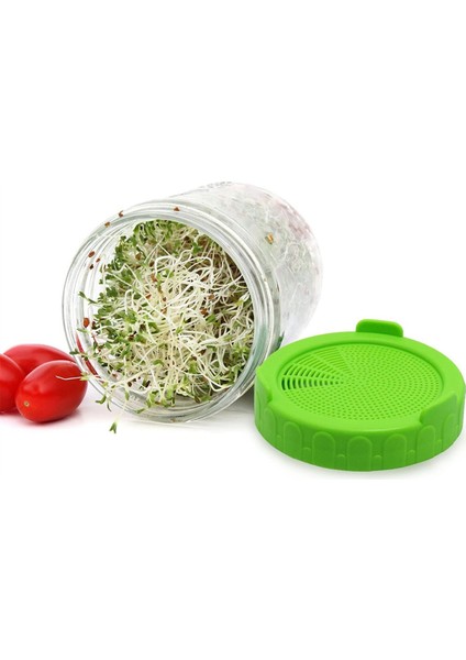 Geniş Ağızlı Mason Kavanozu Filizlendirme Kapağı, Çimlendirme Standı, Mason Kavanozu Dökme Ucu Kapağı, Fasulye Filizi Yetiştirmek Için Uygun (Yurt Dışından) indirimleri