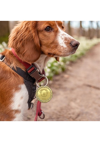 12 Adet Boş Meydan Okuma Madeni Parası Koruma Kutusuyla 1,6 Inç Altın Gümüş Gül Altın Dişli Kenarlı Gravürlü Boş Pirinç Madeni Paralar (Yurt Dışından) fiyatları