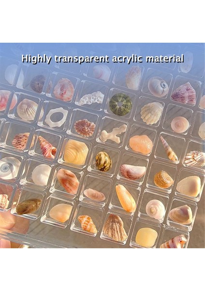 Akrilik Manyetik Deniz Kabuğu Sergileme Kutusu, Elmas Taş Boncuk Saklama Sergileme Düzenleyici Kutu Izgara Şeffaf Akrilik Deniz Kabuğu, F (Yurt Dışından) fiyatları