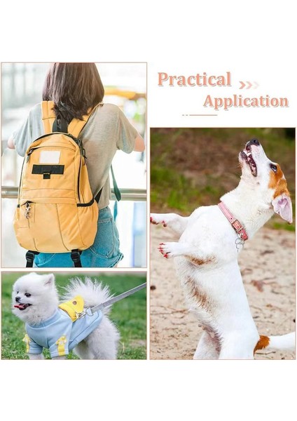 90 Parça Döner Tokalar, Kancalar ve D Halkaları, Anahtarlık Klipsi Kancası, Anahtarlık Yapımı ve Dikiş Projesi Için Istakoz Pençesi Tokası (Yurt Dışından) modelleri