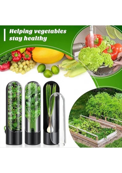 1 Adet Buzdolabı Için Ot Saklama Kabı, Kişniş Maydanoz Kuşkonmaz Için Ot Saklama Kabı (Yurt Dışından) fiyatları