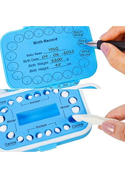 Çocuklar Için Bebek Dişleri Saklama Kutusu Diş Saklama Kutusu Çocuk Dişleri Saklama Tutucu Bebek Dişleri Düzenleyici Yaprak Dökmeyen Dişler Kutusu (Yurt Dışından) modelleri