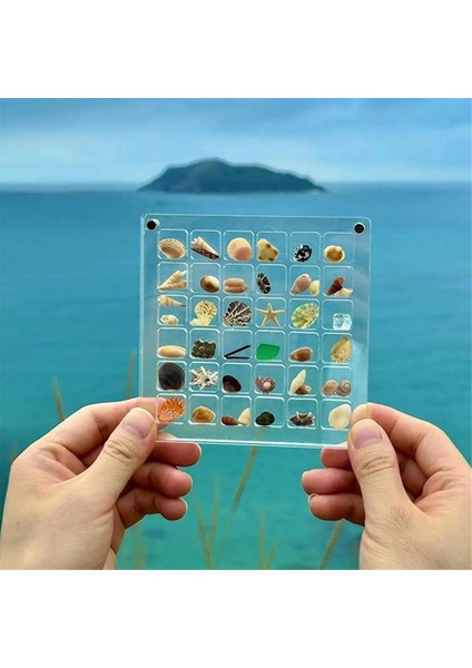 Adet Akrilik Manyetik Deniz Kabuğu Sergileme Kutusu Elmas Değerli Taş Boncukları Saklama Sergileme Düzenleyici Kutu Izgaraları Şeffaf Akrilik, E (Yurt Dışından) indirimleri