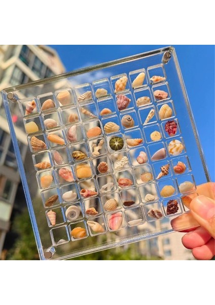 Akrilik Manyetik Deniz Kabuğu Sergileme Kutusu, Elmas Taş Boncuk Saklama Sergileme Düzenleyici Kutu Izgara Şeffaf Akrilik Deniz Kabuğu, E (Yurt Dışından) modelleri