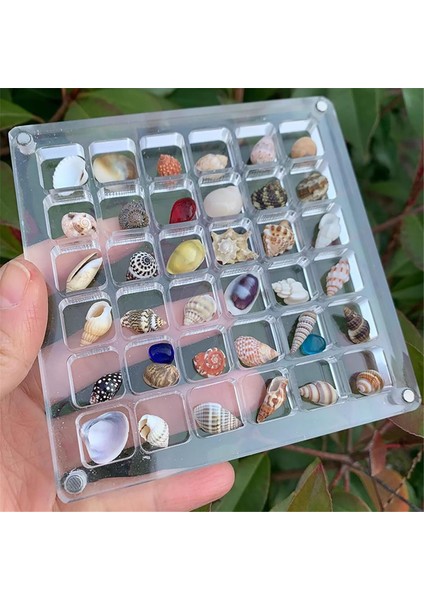 Akrilik Manyetik Deniz Kabuğu Sergileme Kutusu, Elmas Taş Boncuk Saklama Sergileme Düzenleyici Kutu Izgara Şeffaf Akrilik Deniz Kabuğu, E (Yurt Dışından) indirimleri