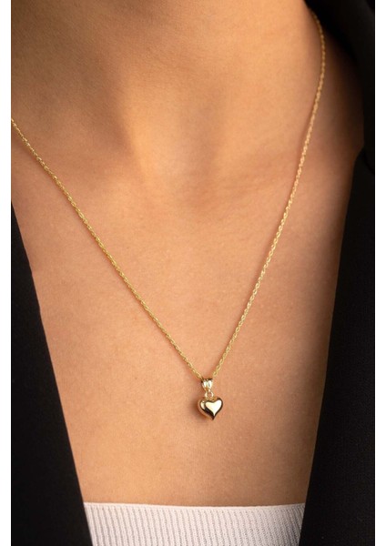 Altın Halat Burgu Zincir Kalp Kolye Ince fiyatları