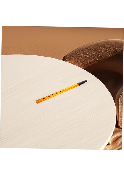 Irlanda Flüt Düdüğü 6 Delik Başlangıç ​​kaydedici Erkek ve Kızlar Için Teneke Düdük Irlanda Halk Enstrümanı Çanta ile