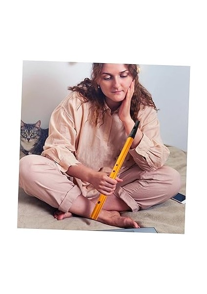 Irlanda Flüt Düdüğü 6 Delik Başlangıç ​​kaydedici Erkek ve Kızlar Için Teneke Düdük Irlanda Halk Enstrümanı Çanta ile fırsatları