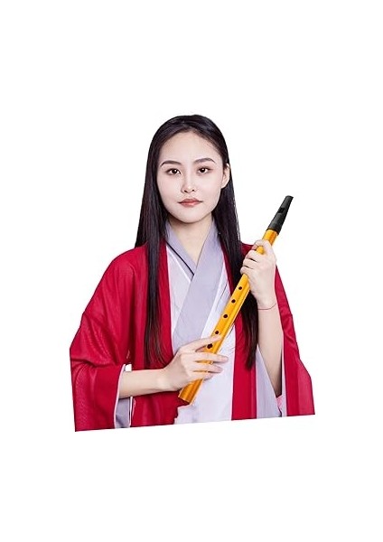 Irlanda Flüt Düdüğü 6 Delik Başlangıç ​​kaydedici Erkek ve Kızlar Için Teneke Düdük Irlanda Halk Enstrümanı Çanta ile indirimleri