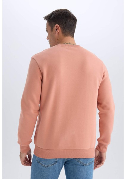 Regular Fit Bisiklet Yaka Kalın Basic Düz Sweatshirt