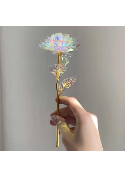 Anlamlı Hediye &sonsuzluk Güllü Özel Içi Boş Kalp Kolye -Sevgiliye Arkadaşa Sevdiklerinize Hediye modelleri