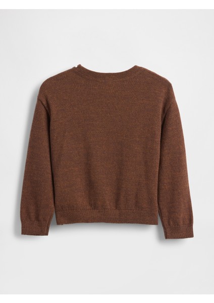 Erkek Bebek Kahverengi Bisiklet Yaka Kazak fiyatları