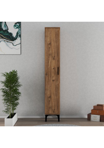 Fernıso Tek Kapaklı Çok Amaçlı Dolap fiyatları