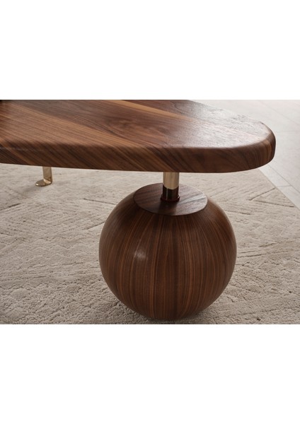 Piano Demonteorta Sehpa ve 2 Li Zigon Sehpa Set modelleri