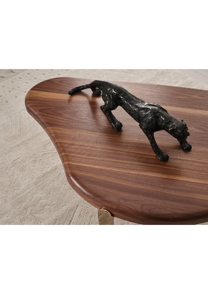 Piano Demonteorta Sehpa ve 2 Li Zigon Sehpa Set fırsatları