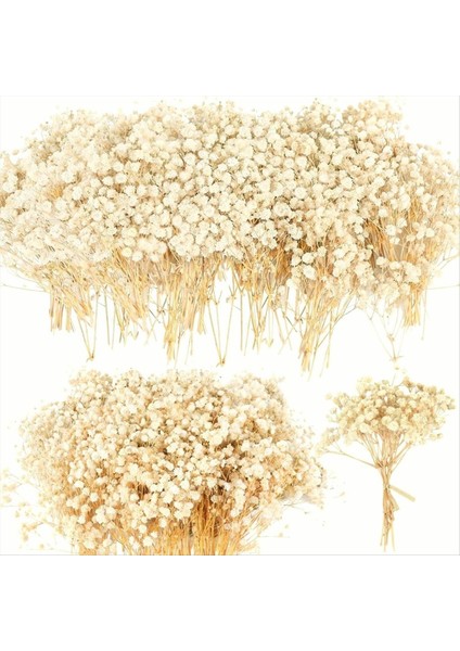 Mini Kurutulmuş Babys Nefes Çiçekler 90 Adet Bebek Nefes Çiçek El Sanatları Düğün Dekor Için Kurutulmuş Çiçekler Boho (Yurt Dışından)