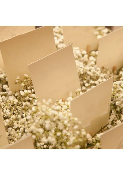 Mini Kurutulmuş Babys Nefes Çiçekler 90 Adet Bebek Nefes Çiçek El Sanatları Düğün Dekor Için Kurutulmuş Çiçekler Boho (Yurt Dışından) fırsatları