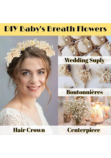 Mini Kurutulmuş Babys Nefes Çiçekler 90 Adet Bebek Nefes Çiçek El Sanatları Düğün Dekor Için Kurutulmuş Çiçekler Boho (Yurt Dışından) indirimleri