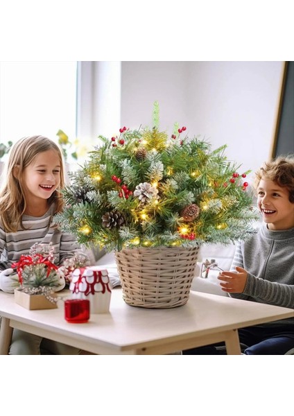 Noel Urn Dolgu Dış Hafta Up Ekici Dolgu Aile Toplantıları Için Tripod Gürül Tatil Dekorasyonu Bahçe B (Yurt Dışından) modelleri