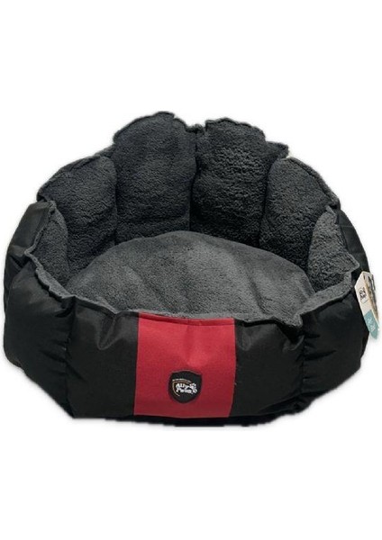 Ally Paws Deniz Kabuğu Yatak modelleri