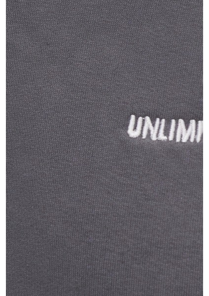 Erkek Relax Fit Pamuklu 3 İplik Yumuşak Dokulu İçi Polarlı Bisiklet Yaka Füme Eşofman Takımı indirimleri