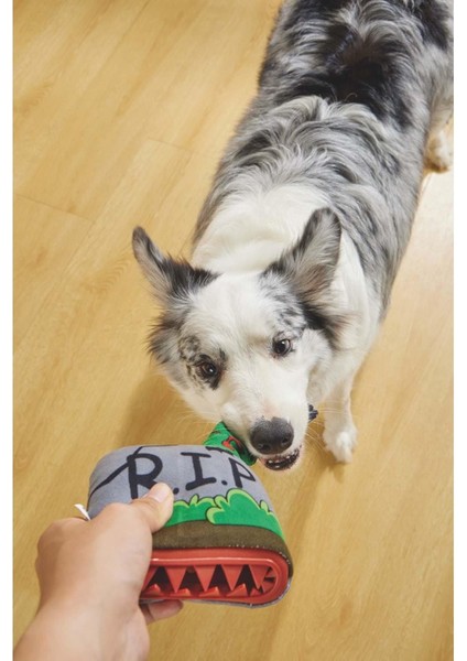 Halloween Tomb Snack Attack Köpek Oyuncağı