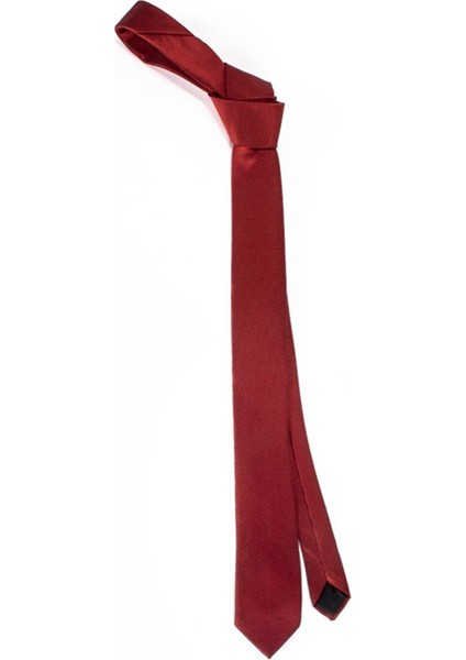 Ince Kendinden Desenli Erkek Kravat modelleri