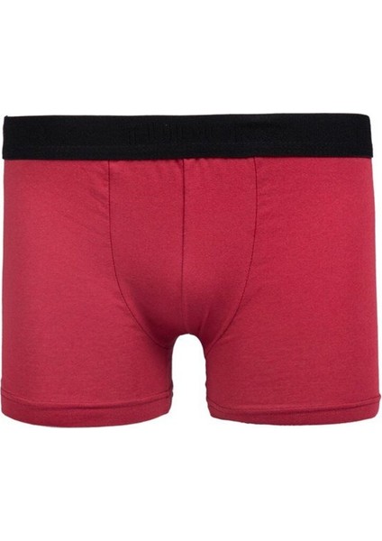Erkek 2'li Pamuklu Likralı Esnek Kumaş Boxer fiyatları