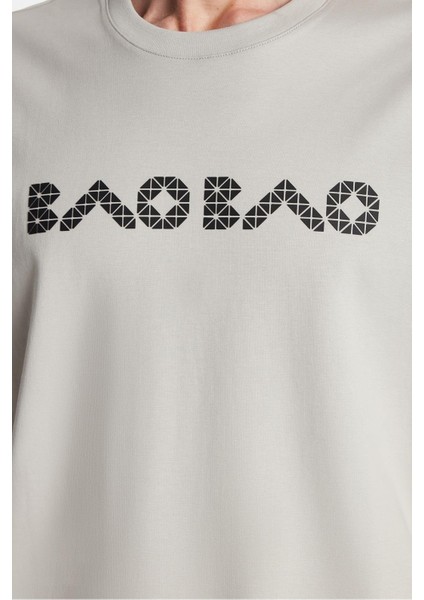 Relax Fit Rahat Kesim Pamuklu Ön ve Arka Baskı Detaylı Bisiklet Yaka Taş Erkek Tişört modelleri