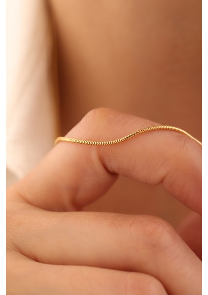 14 Ayar Altın Tondo Balık Sırtı Zincir