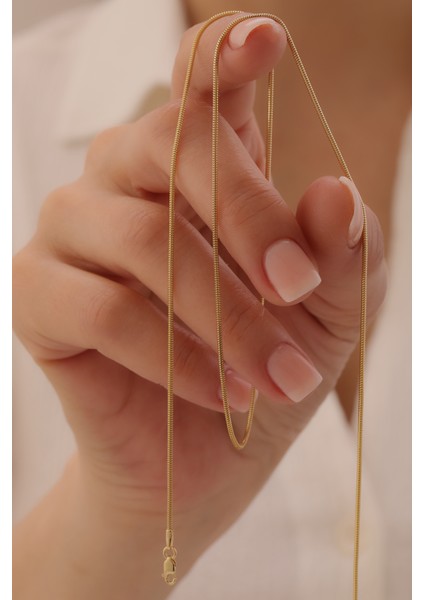 14 Ayar Altın Tondo Balık Sırtı Zincir fiyatları