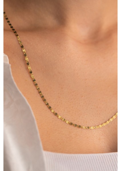 14 Ayar Altın Italyan Pullu Ezme Zincir Kolye