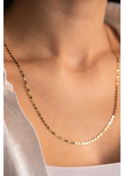 14 Ayar Altın Italyan Pullu Ezme Zincir Kolye fiyatları