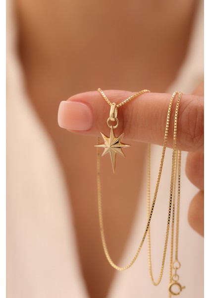 14 Ayar Altın Küp Zincir Kuzey Yıldızı Kolye fiyatları