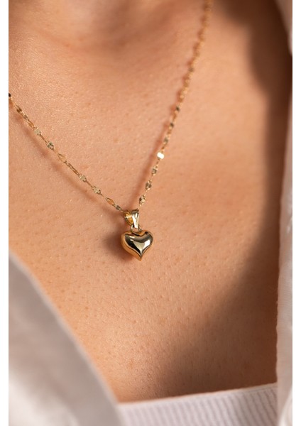 14 Ayar Altın Italyan Aynalı Kalp Kolye