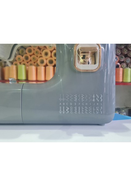 A320 Ev Tipi Düz Dikiş Makinesi modelleri