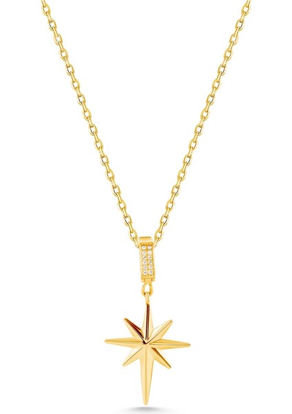 14 Ayar Altın Kalın Forse Zincir Kuzey Yıldızı Kolye fiyatları