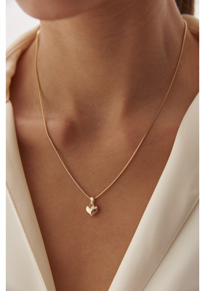 14 Ayar Altın Balık Sırtı Kalp Kolye