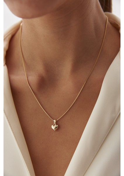 14 Ayar Altın Balık Sırtı Kalp Kolye fiyatları