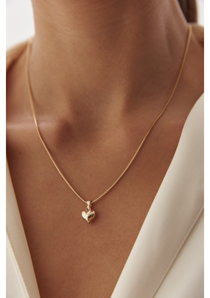 14 Ayar Altın Balık Sırtı Kalp Kolye modelleri