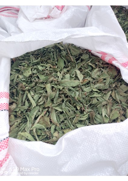 Stevia Doğal Şeker Otu 200 gr Kuru Yaprak fiyatları