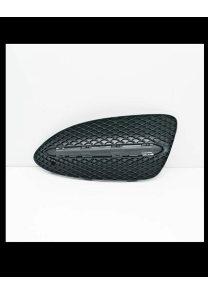 Mercedes Tampon Izgarası W246 Ön Sol; Kapalı 2015-18