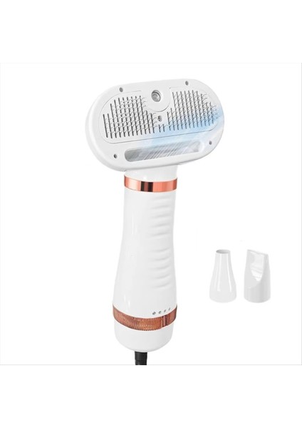 Pet Saç Kurutma Makinesi Kedi ve Köpek Fırçası Profesyonel Ev Tımarlama Kürklü Kurutma Taşınabilir Köpek Salon Blower Ab Fiş (Yurt Dışından)